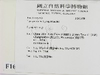 登錄號:F0016984藏品圖，第2張