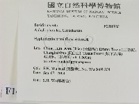 登錄號:F0016985藏品圖，第2張