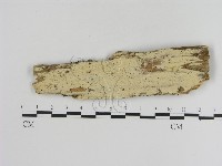 登錄號:F0016985藏品圖，第1張