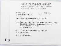登錄號:F0016986藏品圖，第2張
