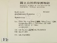 登錄號:F0016987藏品圖，第2張