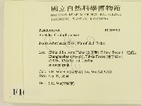 登錄號:F0016988藏品圖，第2張