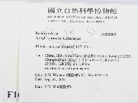 登錄號:F0016989藏品圖，第2張