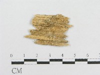 登錄號:F0016989藏品圖，第3張
