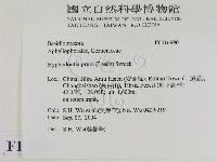登錄號:F0016990藏品圖，第2張