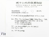 登錄號:F0016991藏品圖，第2張
