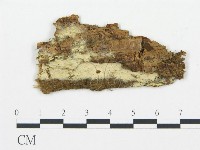 登錄號:F0016991藏品圖，第1張
