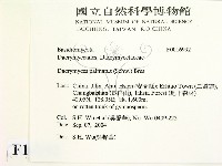 登錄號:F0016992藏品圖，第2張