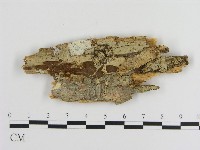 登錄號:F0016993藏品圖，第1張