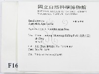 登錄號:F0016994藏品圖，第2張