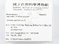 登錄號:F0016997藏品圖，第2張