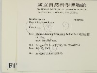 紅菇屬藏品圖，第2張
