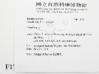 鬼傘屬藏品圖，第2張