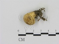 登錄號:F0017010藏品圖，第1張