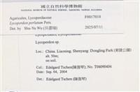 登錄號:F0017010藏品圖，第3張