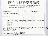 登錄號:F0017011藏品圖，第2張