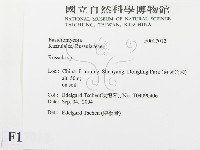 紅菇屬藏品圖，第2張