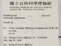 紅菇屬藏品圖，第2張