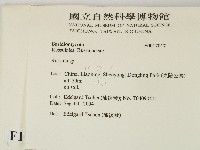 紅菇屬藏品圖，第2張