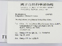 登錄號:F0017023藏品圖，第2張