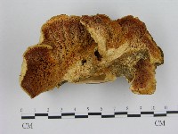 登錄號:F0017023藏品圖，第1張