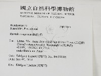 登錄號:F0017025藏品圖，第2張