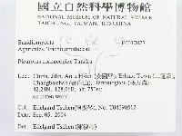 登錄號:F0017027藏品圖，第2張