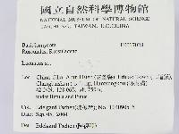 乳菇屬藏品圖，第2張