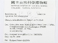 登錄號:F0017029藏品圖，第2張