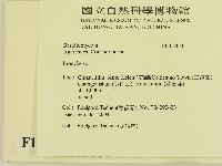 登錄號:F0017040藏品圖，第2張