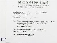 紅菇屬藏品圖，第2張