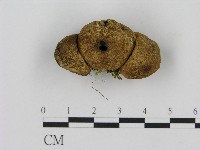 登錄號:F0017044藏品圖，第1張