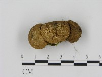 登錄號:F0017044藏品圖，第3張