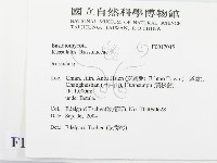 紅菇屬藏品圖，第2張