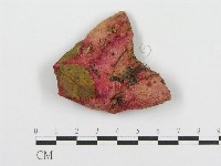 紅菇屬藏品圖，第1張