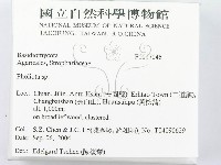 登錄號:F0017046藏品圖，第2張