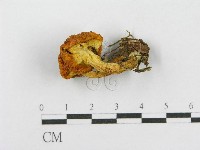 登錄號:F0017046藏品圖，第1張
