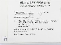 登錄號:F0017048藏品圖，第2張