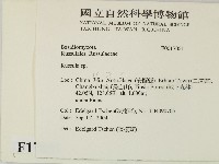 紅菇屬藏品圖，第2張