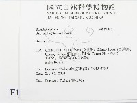 紅菇屬藏品圖，第2張