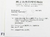 紅菇屬藏品圖，第2張