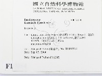 紅菇屬藏品圖，第2張