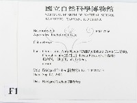 杯傘屬藏品圖，第2張