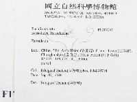 紅菇屬藏品圖，第2張