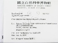 登錄號:F0017061藏品圖，第2張