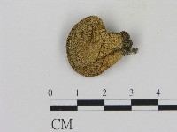 登錄號:F0017062藏品圖，第1張
