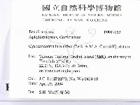 登錄號:F0017063藏品圖，第2張