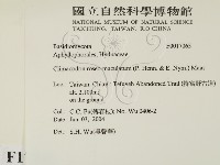 登錄號:F0017065藏品圖，第2張