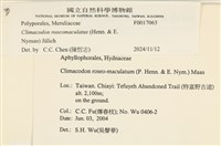 登錄號:F0017065藏品圖，第4張