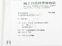 多孔菌屬藏品圖，第2張